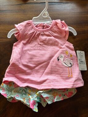 Girls Pink Striped Baby Top with Flamingo Embroidery 2 pc set - 3months